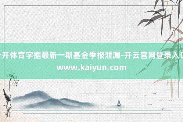 云开体育字据最新一期基金季报泄漏-开云官网登录入口 www.kaiyun.com