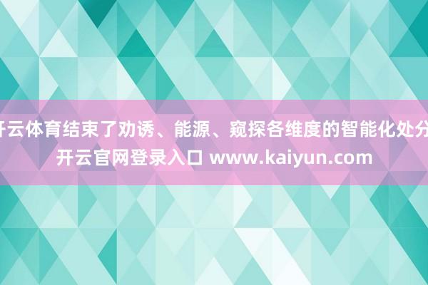 开云体育结束了劝诱、能源、窥探各维度的智能化处分-开云官网登录入口 www.kaiyun.com