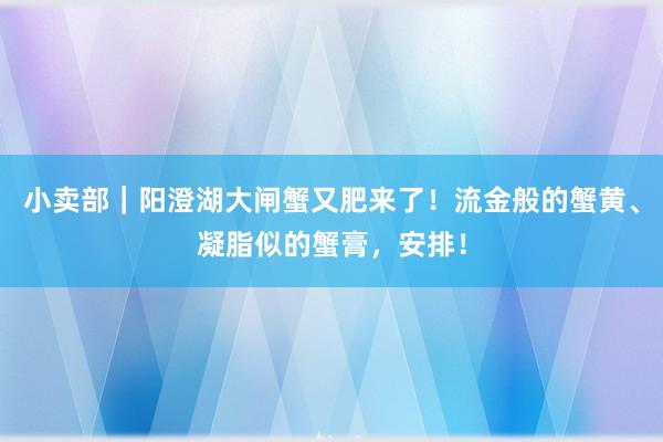 小卖部｜阳澄湖大闸蟹又肥来了！流金般的蟹黄、凝脂似的蟹膏，安排！