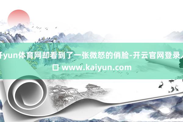 开yun体育网却看到了一张微怒的俏脸-开云官网登录入口 www.kaiyun.com