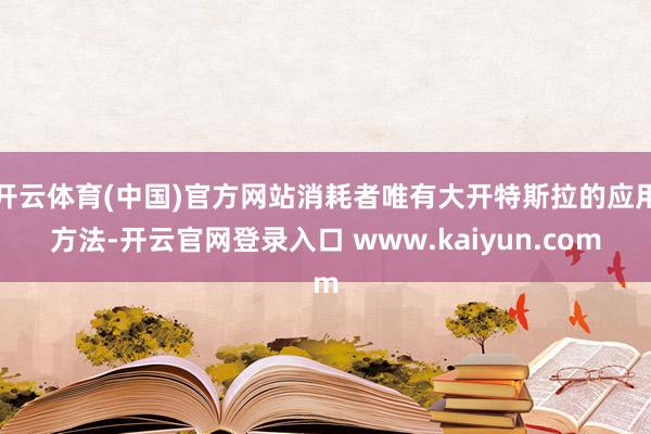 开云体育(中国)官方网站消耗者唯有大开特斯拉的应用方法-开云官网登录入口 www.kaiyun.com