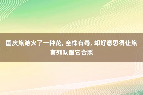 国庆旅游火了一种花, 全株有毒, 却好意思得让旅客列队跟它合照